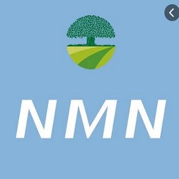 Detalles de los diez principales estándares internacionales básicos para la gestión de calidad W+NMN